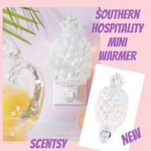 Southern Hospitality Mini Warmer🍍